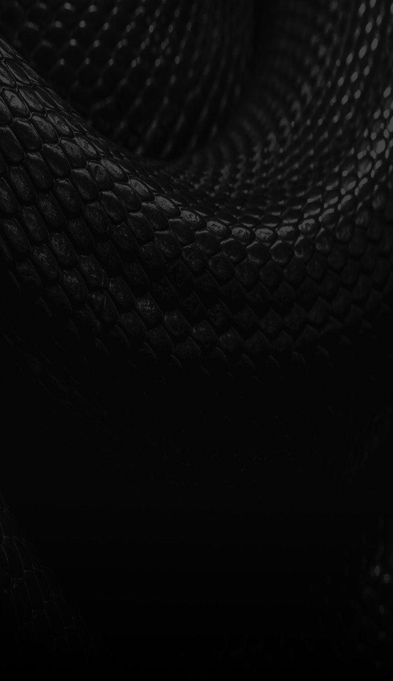 Archives: Photo Galleries | Neal Smith