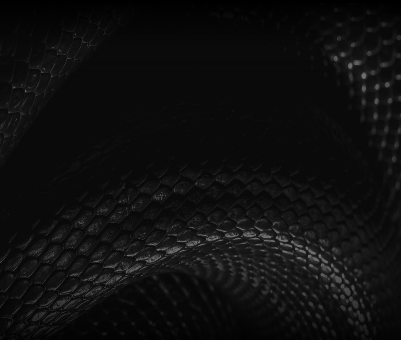 Neal Smith | Official Website